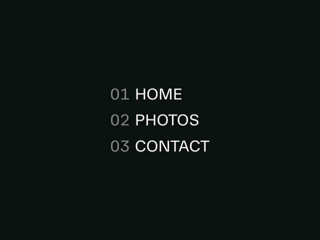 Reveal text effect animation example