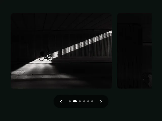 Carousel: Pagination animation example