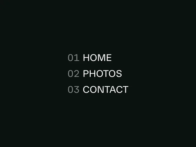 Reveal text effect animation example