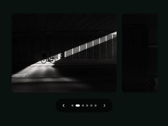 Carousel: Pagination animation example